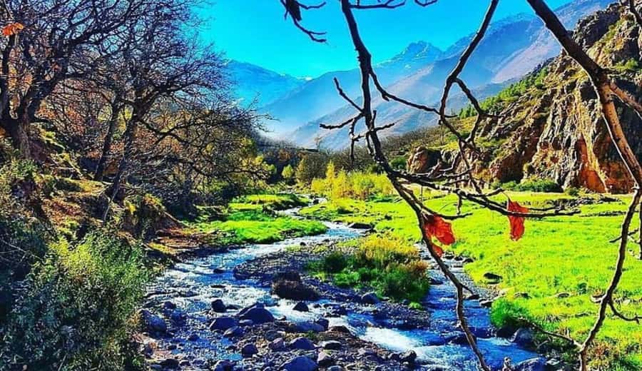 Marrakech: Ourika Valley waterfalls with guide& Berber lunch - Who runs the day: guides, pacing, and why it matters