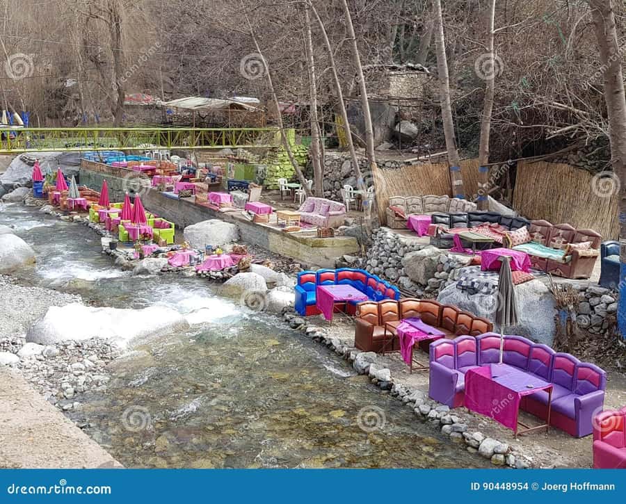 Marrakech: Ourika Valley with guid + lunch +Atlas Mountains - Why Setti Fadma waterfalls are the real payoff