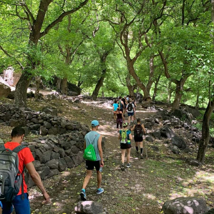 Marrakech: Ouzoud Waterfall, Guided Hike, Boat Ride & Lunch - 6 Key things that make this Ouzoud day trip work so well