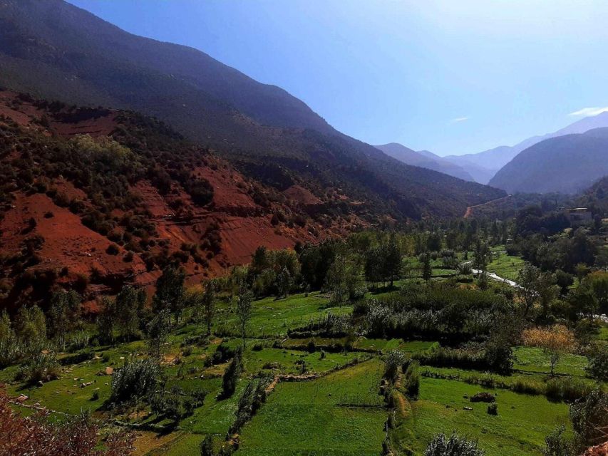 Marrakech: Ouzoud Waterfall, Guided Hike, Boat Ride & Lunch - Who should book, and who might prefer another plan