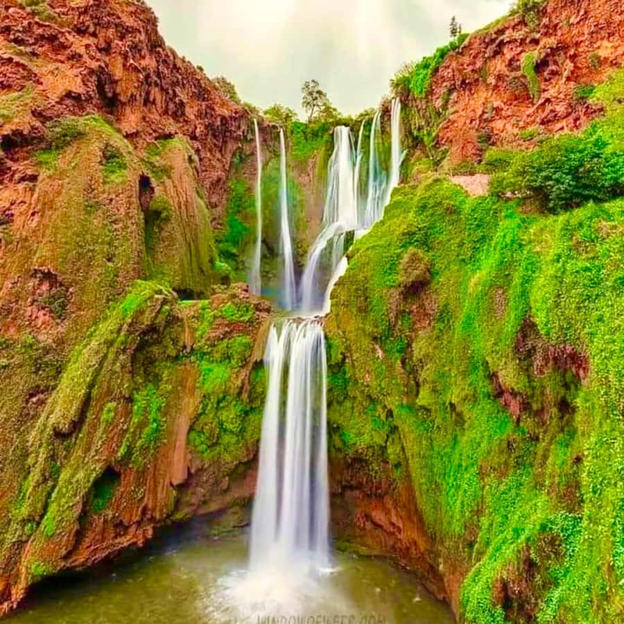Marrakech: Ouzoud Waterfall, Guided Hike, Boat Ride & Lunch - The guided hike to the falls: monkeys, stairs, and pacing