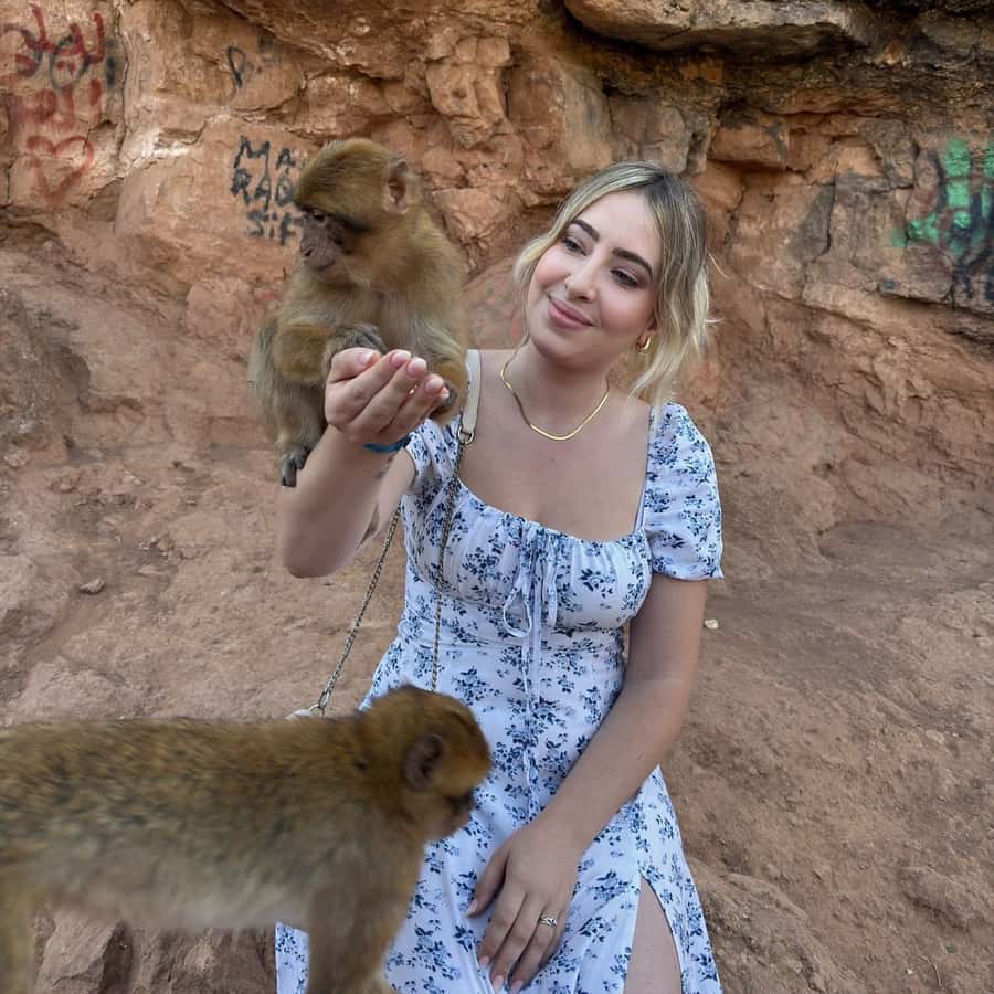 Marrakech: Ouzoud Waterfall, Guided Hike, Boat Ride & Lunch - Viewpoints, photos, and the 20-minute boat cruise under the falls