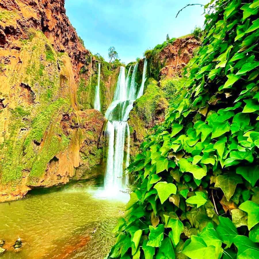 Marrakech: Ouzoud Waterfall, Guided Hike, Boat Ride & Lunch - Timing and logistics: what a 10-hour day actually feels like