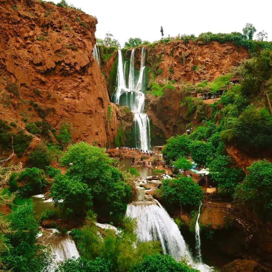 Marrakech: Ouzoud Waterfall, Guided Hike, Boat Ride & Lunch - The Atlas Mountains drive: more than just getting there