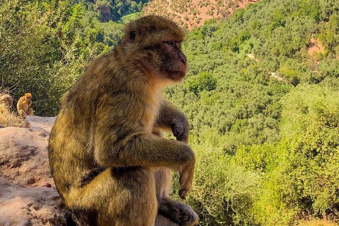 Marrakech : Ouzoud Waterfalls, Guided MountainTour & Boat Ride - The Boat Ride on the River: Why It’s Worth Its Time