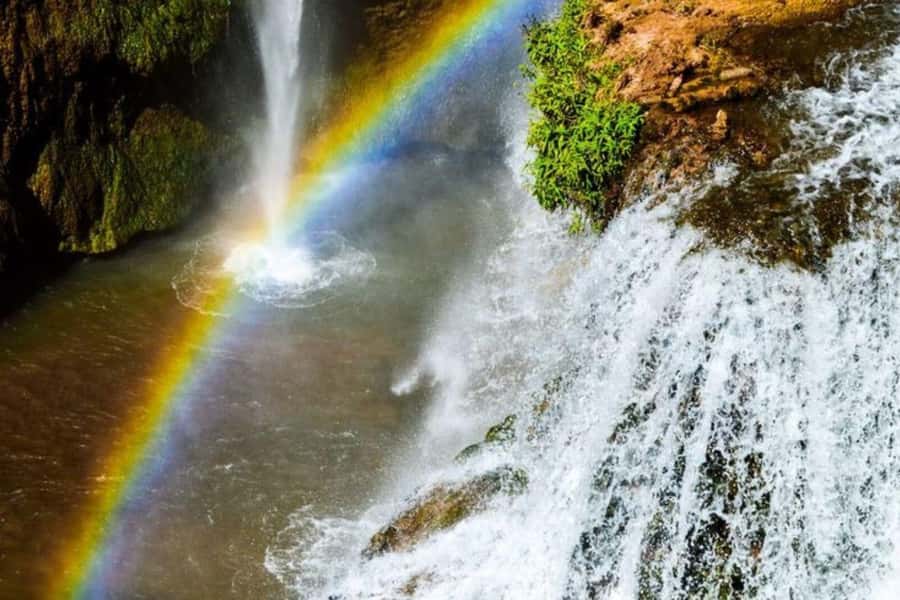 Marrakech: Ouzoud Waterfalls Trip, Guided Hike & Boat Option - Quick reasons this Ouzoud day trip hits the right notes
