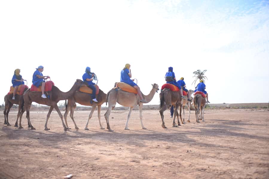 Marrakech: pack quad and camel ride in the palm grove - Key highlights worth showing up for