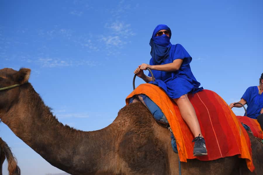 Marrakech: pack quad and camel ride in the palm grove - Two Hours on Quads: Rocky Desert Bits and Palm Grove Views