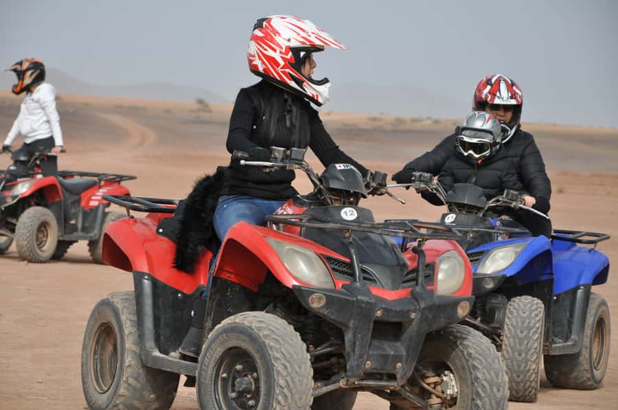 Marrakech: pack quad and camel ride in the palm grove - Camel Ride Time: 15 Minutes on the Vessels of the Desert