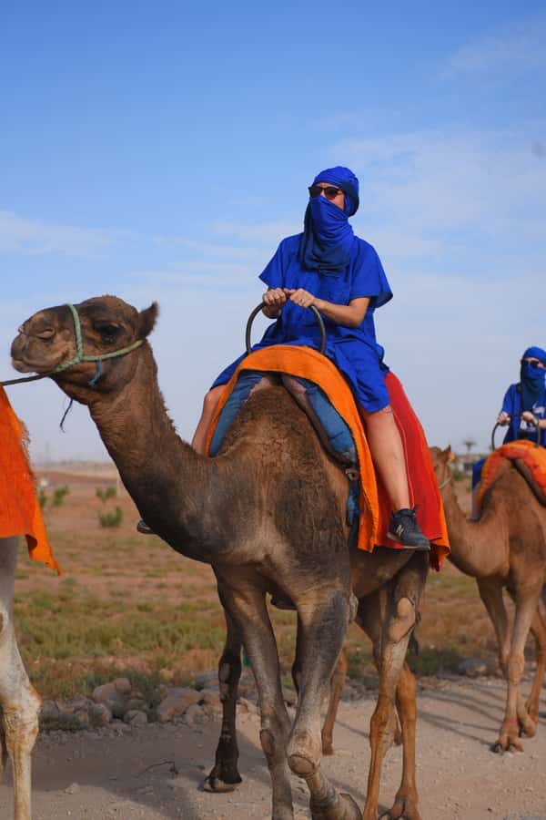 Marrakech: pack quad and camel ride in the palm grove - Photo Stops, Freshening Up, and What Small Group Really Means