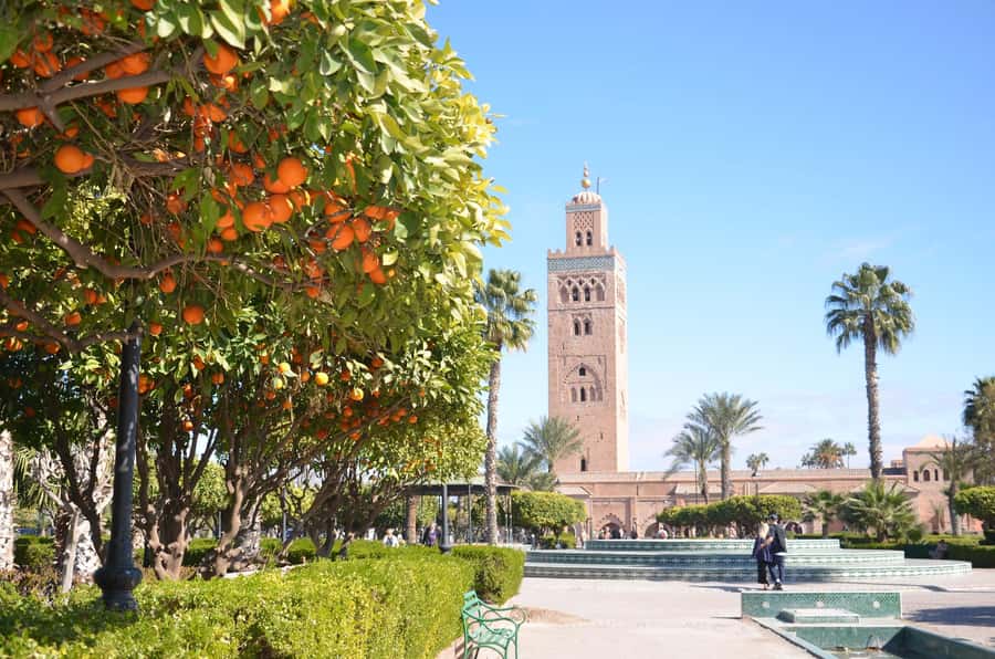 Marrakech: Palace, Museum, Madrasa & Medina Highlights Tour - Guides inside the monuments: why the right person changes everything