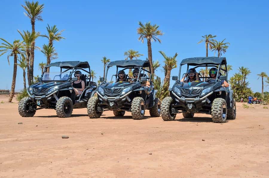 Marrakech: Palm Grove and Desert Buggy excursion - Price and Value: Why $45 for 3 Hours Can Make Sense