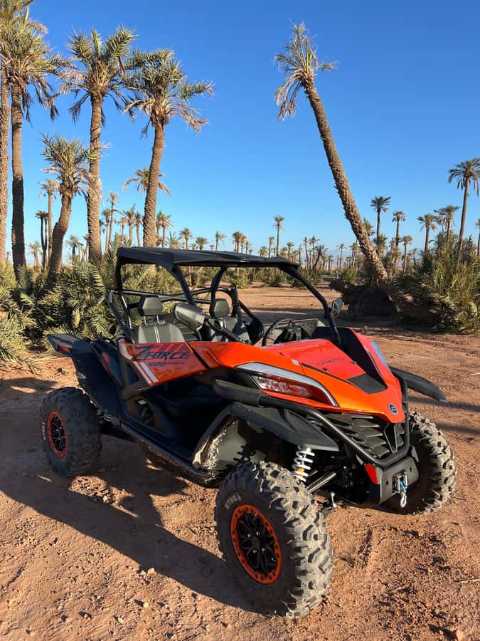 Marrakech : Palm Grove and jbilat Desert Buggy 1000cc Tour - Key points at a glance