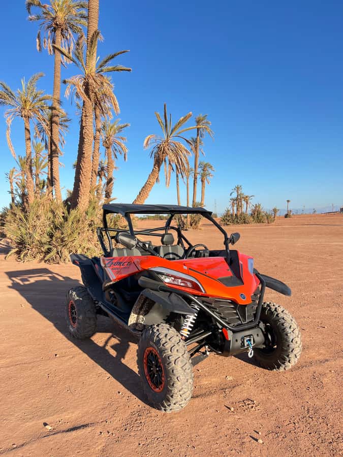 Marrakech : Palm Grove and jbilat Desert Buggy 1000cc Tour - Should You Book This Marrakesh Palm Grove and Jbilat Buggy Tour?