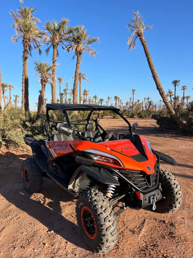 Marrakech : Palm Grove and jbilat Desert Buggy 1000cc Tour - Palm Grove Desert Driving From Marrakech: What This Tour Really Delivers