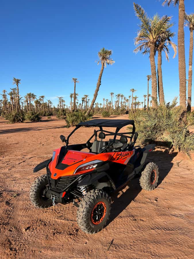 Marrakech : Palm Grove and jbilat Desert Buggy 1000cc Tour - 2 Hours of 1000cc Riding: Rocky Desert Tracks and Palm Grove Edges