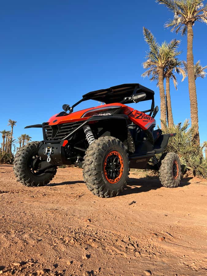 Marrakech : Palm Grove and jbilat Desert Buggy 1000cc Tour - Mint Tea Break at a Traditional Villa: A Real Pause From Motion