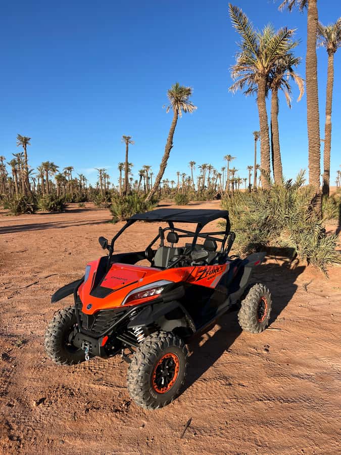Marrakech : Palm Grove and jbilat Desert Buggy 1000cc Tour - The Palm Grove Photo Stop: Short, Scenic, and Worth It