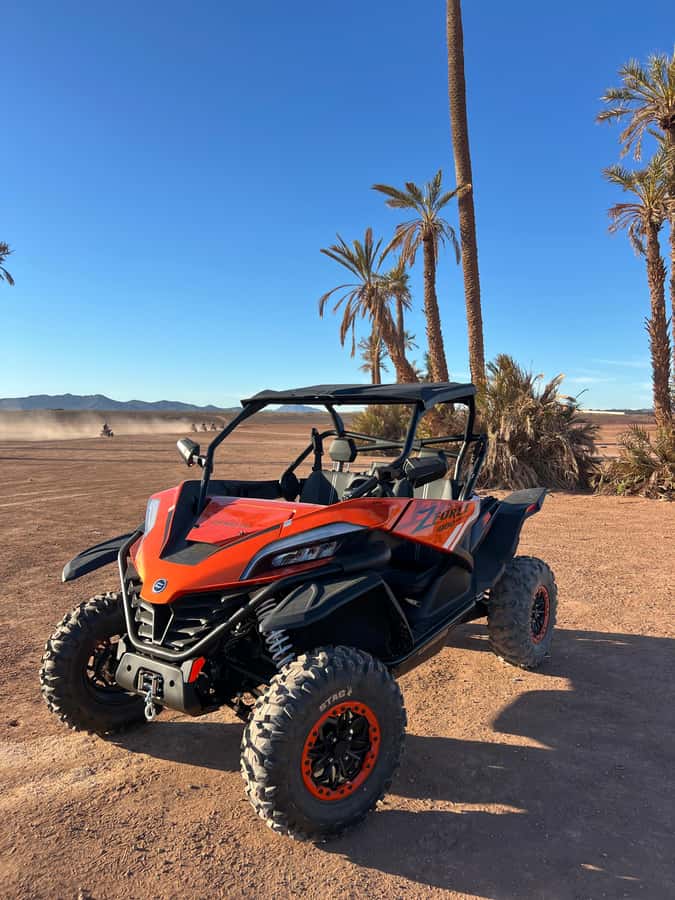 Marrakech : Palm Grove and jbilat Desert Buggy 1000cc Tour - What You Get for $79: Value for Action, Not Just Transport
