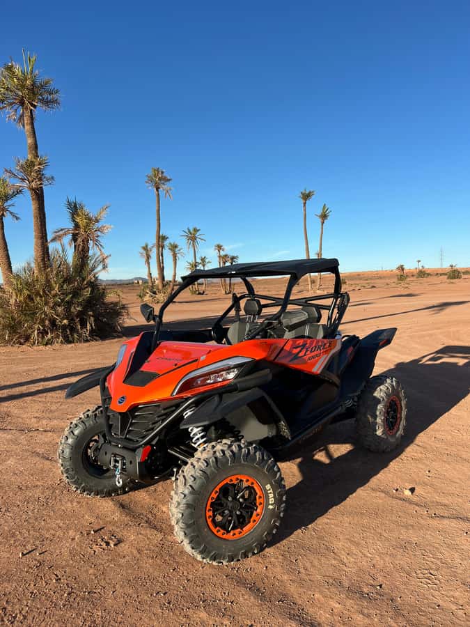 Marrakech : Palm Grove and jbilat Desert Buggy 1000cc Tour - Who This Tour Suits Best (And Who Should Skip It)