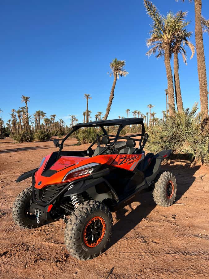 Marrakech : Palm Grove and jbilat Desert Buggy 1000cc Tour - Meeting Spot and Timing: From KFC Jamaa El Fna to Your Pickup Door
