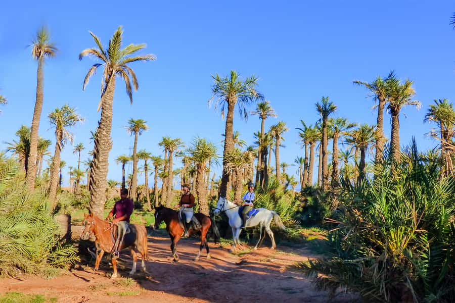Marrakech: Palm Grove Horseback Riding Tour - Why the Palmeraie ride is Marrakech’s best quiet escape
