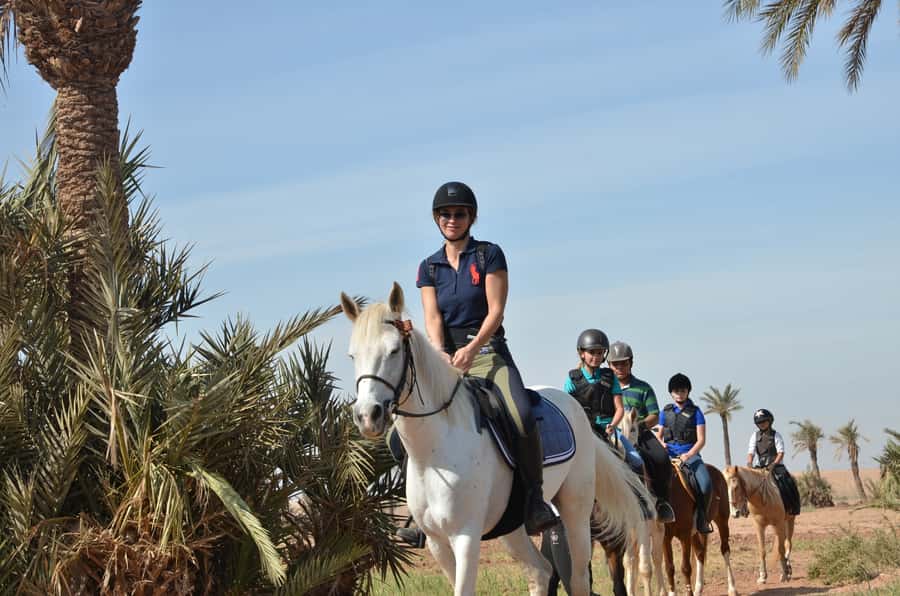 Marrakech: Palm Grove Horseback Riding Tour - Before you ride: protective gear, horse care, and choosing your comfort level