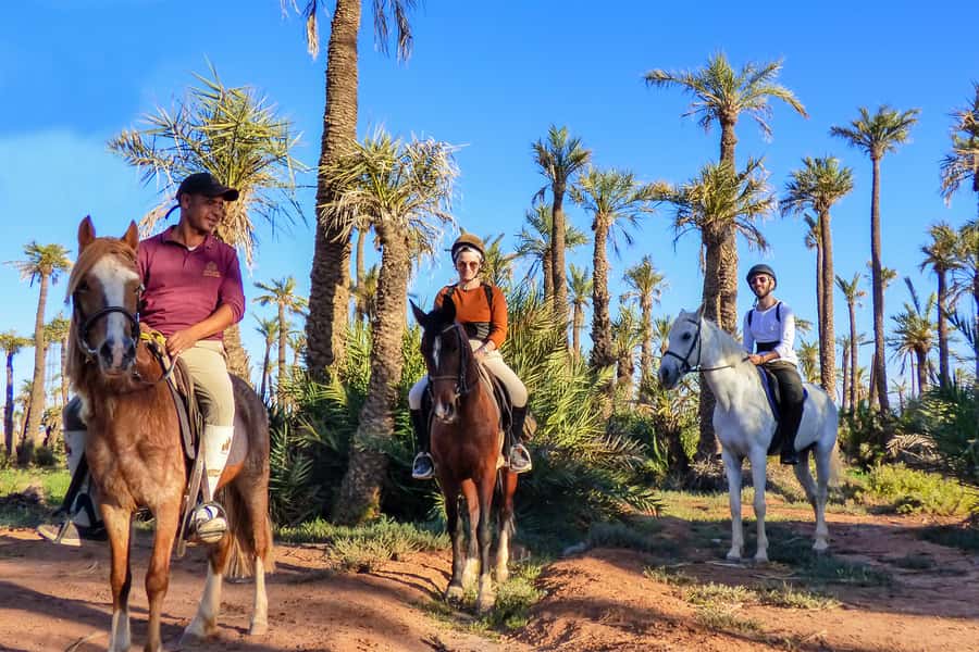 Marrakech: Palm Grove Horseback Riding Tour - Hotel pickup and air-conditioned transfer to the stables