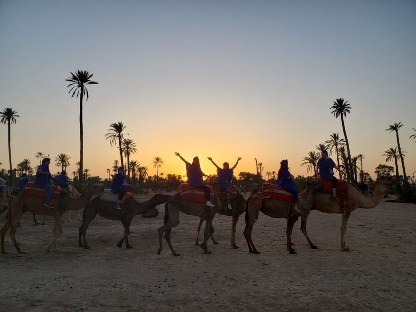 Marrakech palm grove: Sunset camel ride - Visiting a Berber house: the tea stop that people remember