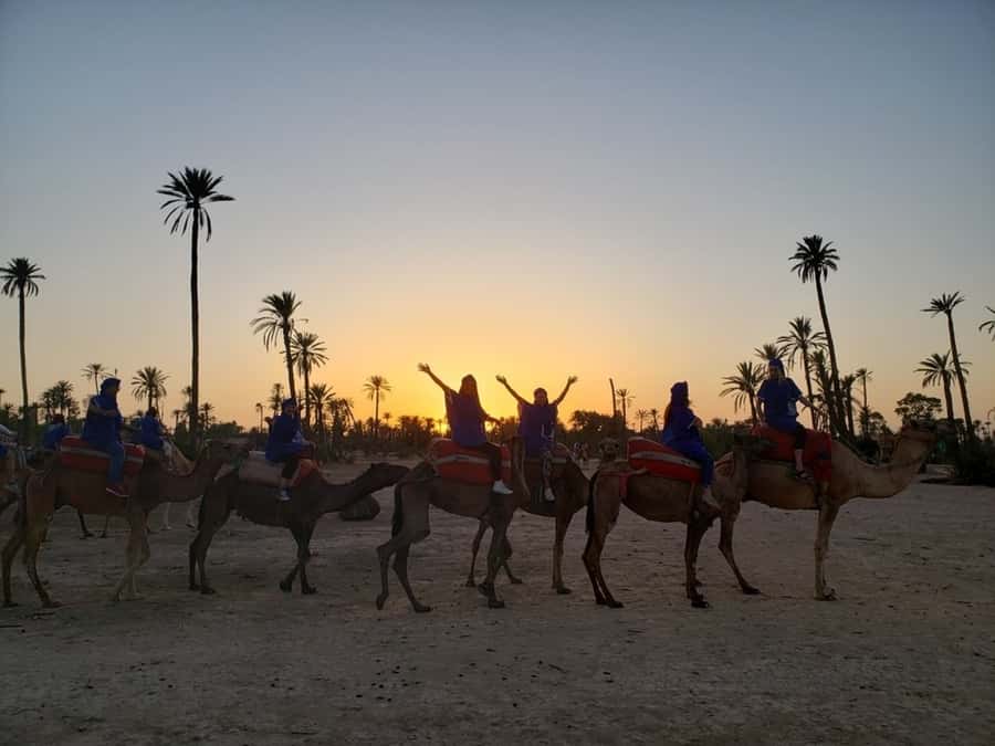 Marrakech palm grove: Sunset camel ride - Sunset from the saddle: what changes during the second ride