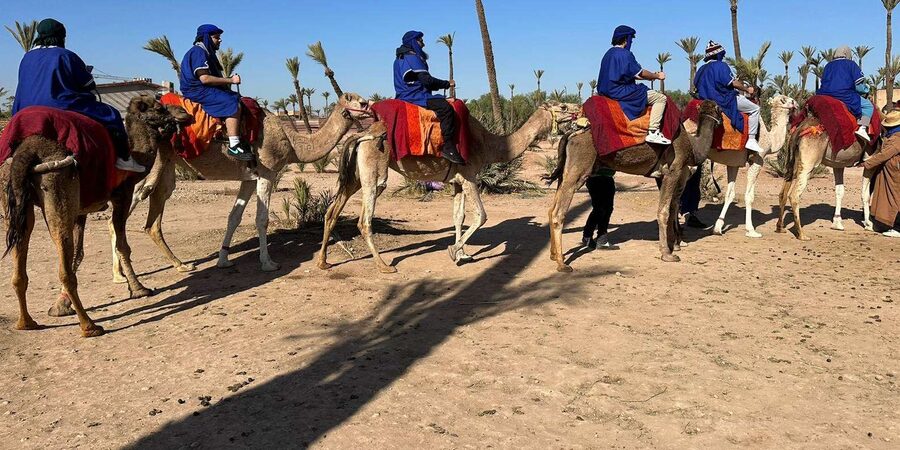 Marrakech Palmeraie Camel Ride Adventure - The camel ride route: palms, villages, and real pauses