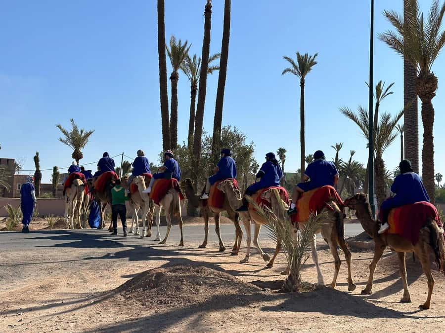 Marrakech Palmeraie Camel Ride Adventure - The mint tea stop in a nomadic-style setting