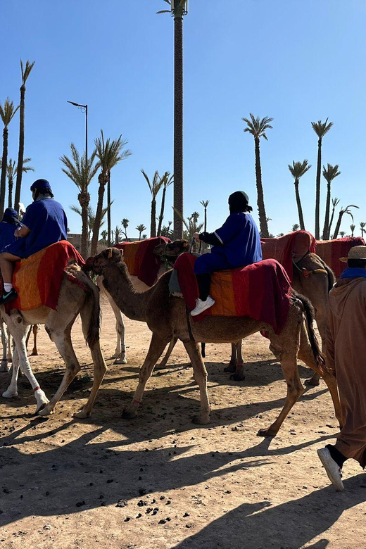 Marrakech Palmeraie Camel Ride Adventure - Photos and guide personalities: why it can feel special