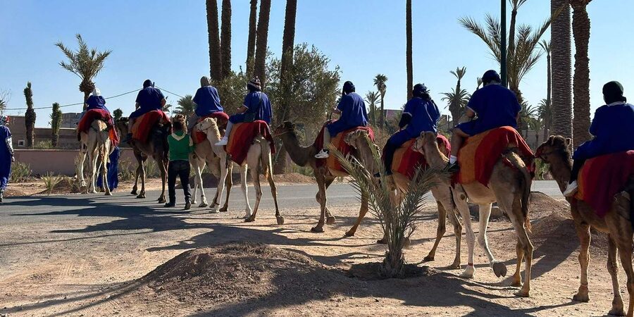 Marrakech Palmeraie Camel Ride Adventure - Price value: is $26 a good deal for Marrakech?