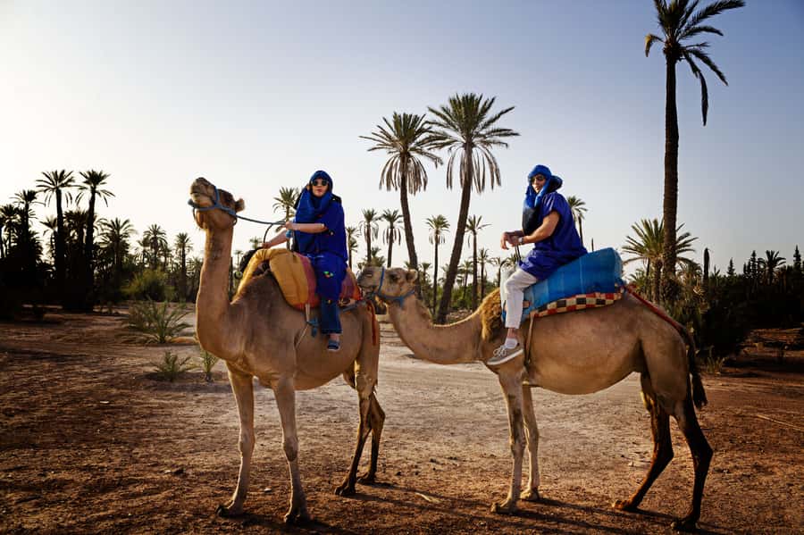 Marrakech Palmeraie: Camel Ride at Sunset - Palmeraie at sunset: why this timing changes everything