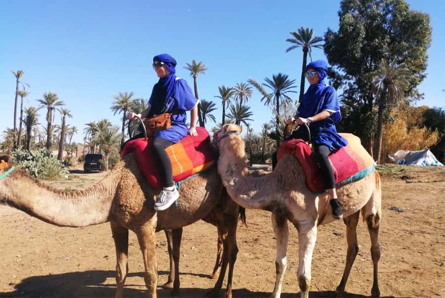 Marrakech Palmeraie: Camel Ride & Quad Bike Experience - Key things to know before you go