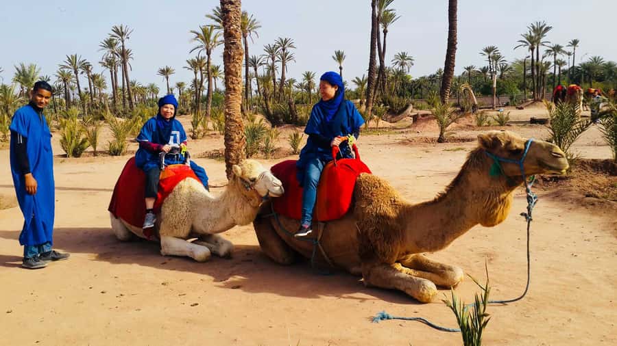 Marrakech Palmeraie: Camel Ride & Quad Bike Experience - Marrakech Palmeraie gets you out of town, without feeling far away