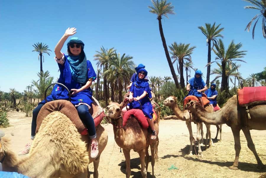 Marrakech Palmeraie: Camel Ride & Quad Bike Experience - Quad biking: speed, dust, and the guides who keep it fun and safe