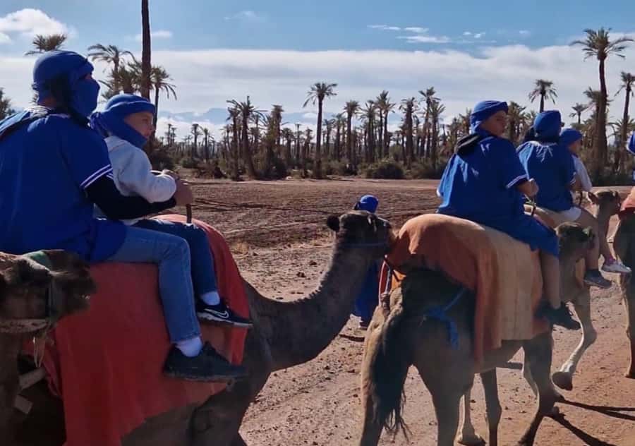 Marrakech: Palmeraie Camel Ride & Traditional Moroccan Spa - Final Verdict: Should You Book This Marrakech Camel and Spa Tour?