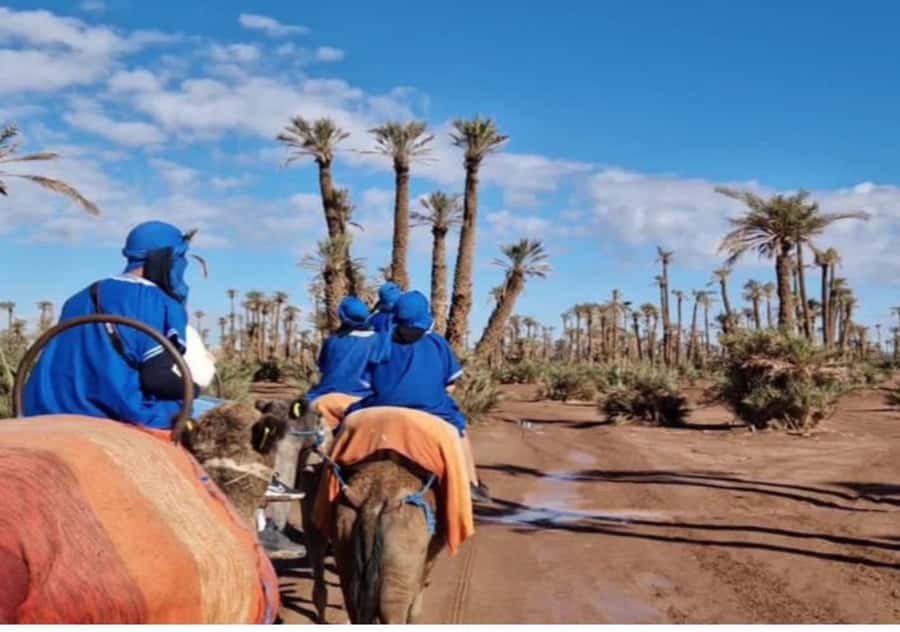 Marrakech: Palmeraie Camel Ride & Traditional Moroccan Spa - Entering the Traditional Hammam: Black Soap, Eucalyptus, Steam Room