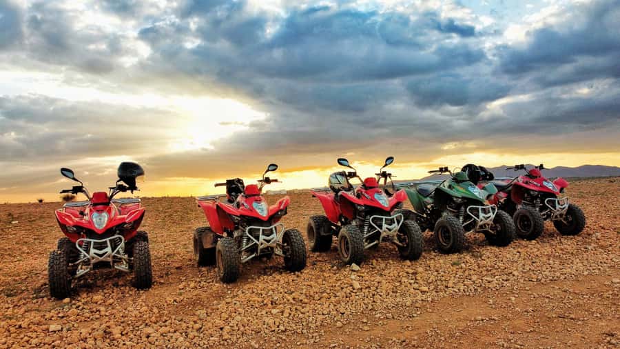 Marrakech: Palmeraie Guided Quad Biking Tour with Tea - Quick hits from the Palmeraie quad ride