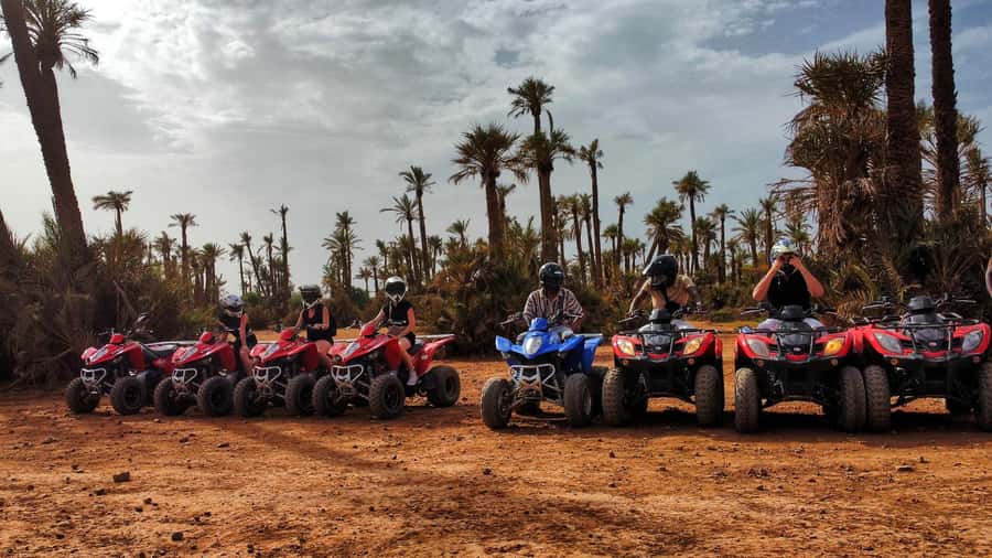 Marrakech: Palmeraie Guided Quad Biking Tour with Tea - Who should book, and who might skip it