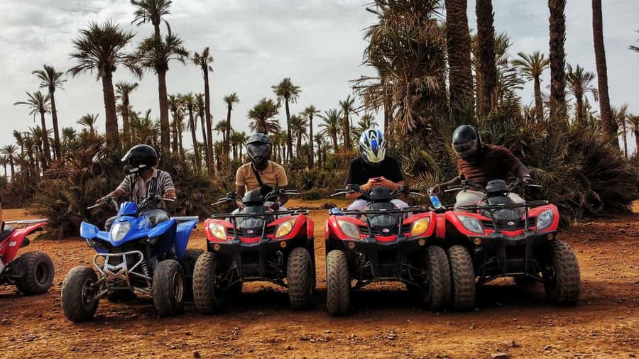 Marrakech: Palmeraie Guided Quad Biking Tour with Tea - Berber-style tea break: mint tea, bread, and a cultural pause
