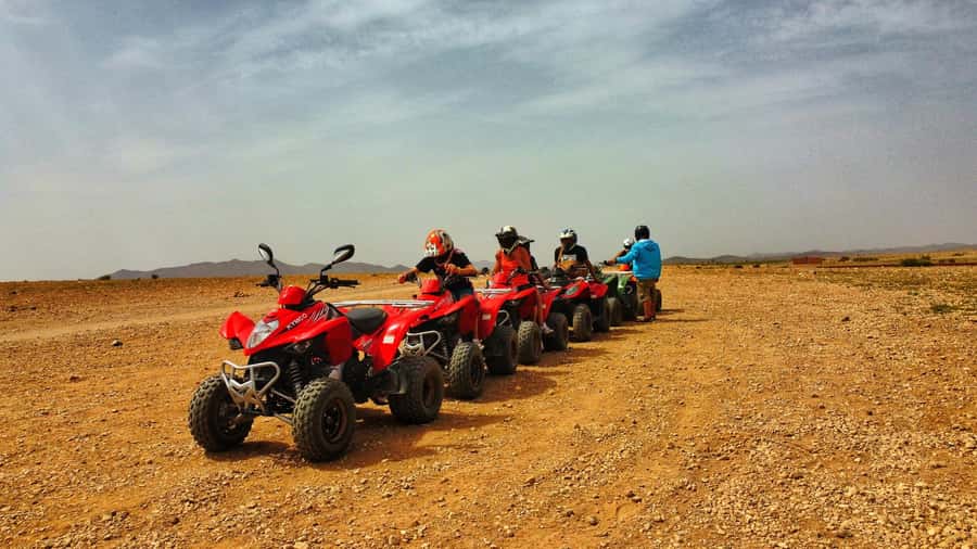 Marrakech: Palmeraie Guided Quad Biking Tour with Tea - Value and price: is $15 a good deal in Marrakech?