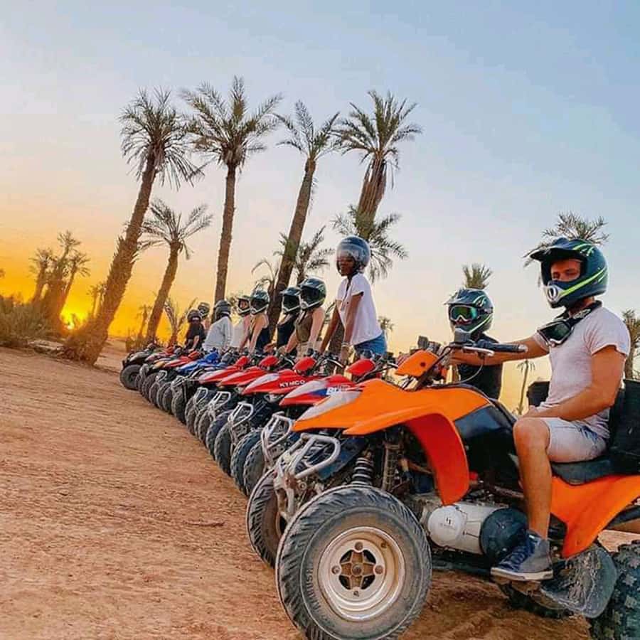 Marrakech: Palmeraie Private Quad Bike Experience - Key points I’d center in your planning