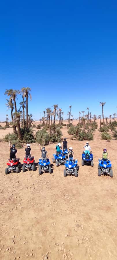 Marrakech: Palmeraie Private Quad Bike Experience - Price and Value: Why $15 Can Make Sense