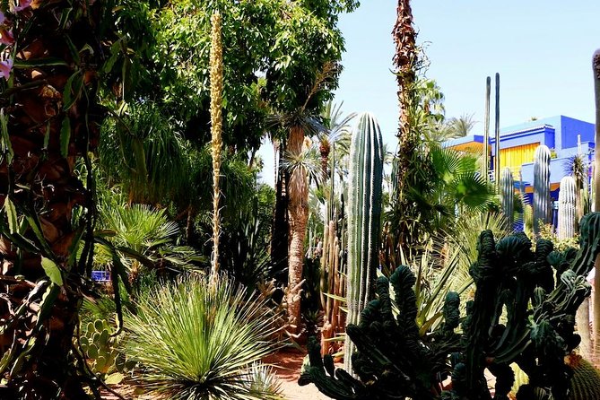 Marrakech Private Full-Day Walking Tour with Hotel Pickup and Drop-Off - How the day flows, from palace elegance to square energy