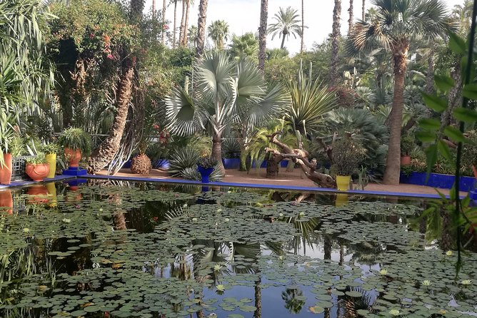 Marrakech: Private Guided Half-Day City Tour - Pickup, transport comfort, and timing that keeps you sane