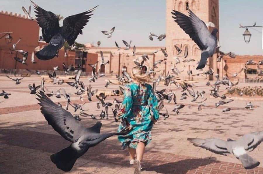 Marrakech: private Guided tour Of Vibrant Souks - Souk Semmarine and the shopping lesson that saves you time