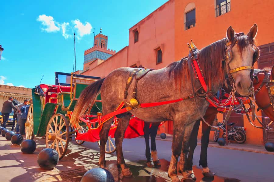 Marrakech: Private Half-Day City Highlights Tour - Key Highlights You’ll Actually Feel in Your Day